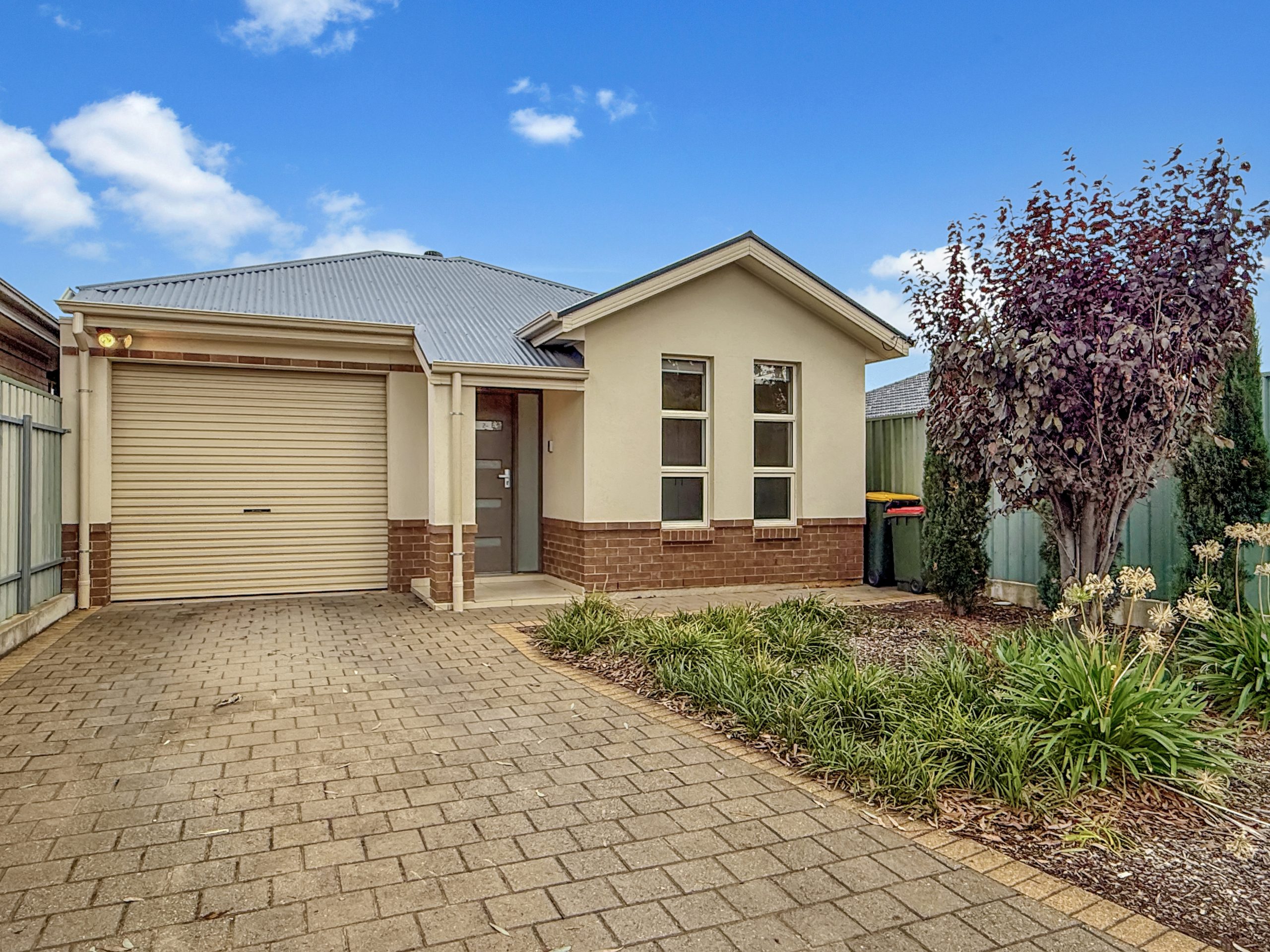 IRE2074493-SALISBURY-DOWNS